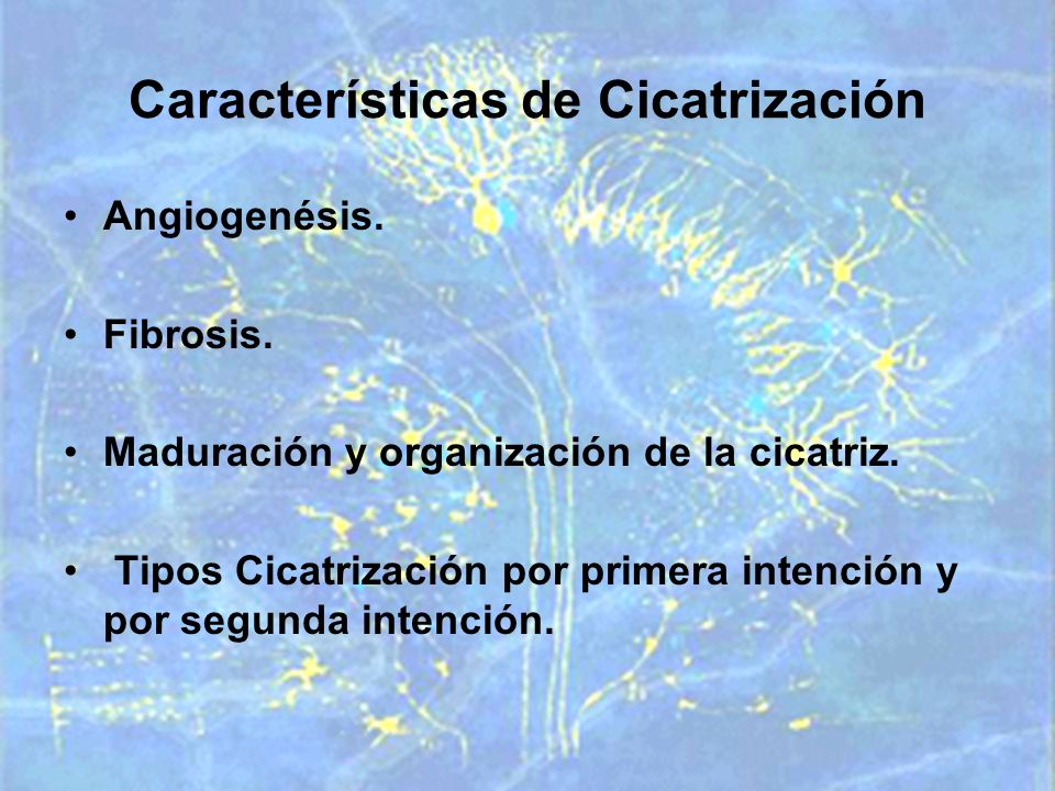 fibrosis en cicatrizacion